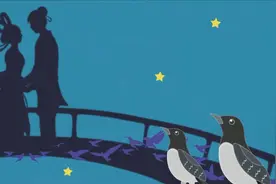 七夕观星：“异地恋”的牛郎星和织女星，还有颗“超级电灯泡”天津四星图片