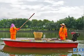 “百年修得同船渡”——一对环卫夫妻的爱情故事图片