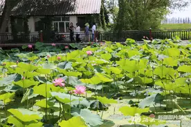 走进乡村看小康丨阿顿巴村：乡村旅游带来幸福生活图片