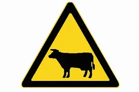 驾车出行 注意动物出没图片