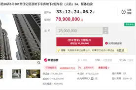上海豪宅汤臣一品7890万元司法拍卖 此前两套天价成交图片