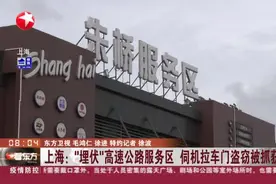 上海：“埋伏”高速公路服务区 伺机拉车门盗窃被抓获视频封面