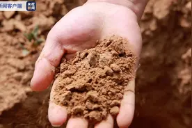 部分作物绝收 山区饮水受影响 陕西启动Ⅳ级抗旱应急响应图片