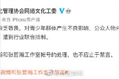 中国文化管理协会网络文化工委发声：对张哲瀚帐号处理不应止于禁言图片