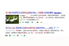 大鹅攻击老人致八级伤残！​鹅的“战斗力”有多强？看完再也不敢惹了图片