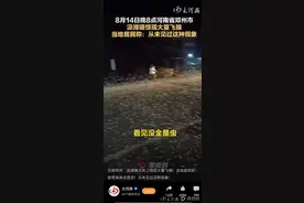 南阳邓州现大量飞虫，道路铺满一层居民称奇：从没见过，林业部门今晚现场勘查图片