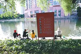 公园湖边垂钓，不行图片