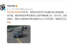案说交通安全：这几种道路交通标线怎么分辨？图片