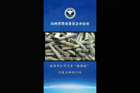 麻黄草和节节草“躲猫猫”，你能分辨他们吗?视频封面