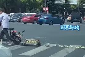 大爷带着小鸭子过马路，这一串太可爱了图片