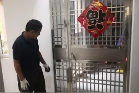 160户边户楼道内私装大门占用公摊面积 六安一小区集中拆除违建图片
