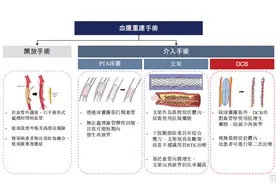 先瑞达医疗-B（6669.HK）：外周介入龙头，五大领域全方位发展图片