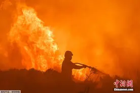 高温天气致西班牙阿维拉发生山火 烧毁约1万公顷树林图片