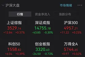 “坚决抵制忽悠股民接盘”十连板公司急了：我们是储能行业门外汉！最贵新股上市，中一签赚近12万元图片
