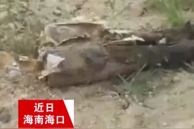 男子钓鱼钓出2枚手榴弹：当时还以为大鱼上钩了图片