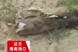 男子钓鱼钓出2枚手榴弹：当时还以为大鱼上钩了图片
