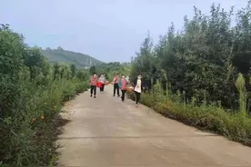 南阳市方城县柳河镇：小小花椒粒 做出大文章图片