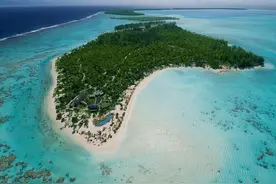如何推动可持续旅游？全球酒店业给出与自然相处的答案图片