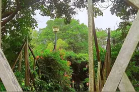 新加坡神秘打卡地点！这里居然藏着犹如“爱丽丝梦境”的迷宫图片