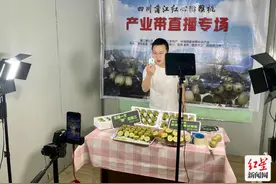 直播带货+电商助农 蒲江猕猴桃首日助销10万元图片