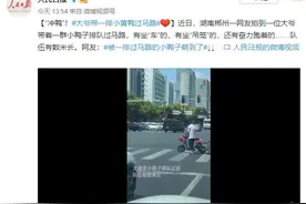 “冲鸭”！大爷带一排小黄鸭过马路 网友：被萌到了图片
