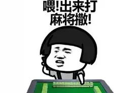 诈骗118500元！吉安这伙人用麻将机出老千！判刑图片