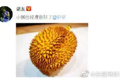 谌龙跪榴莲都是许昕害的图片