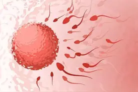 出现两条“红杠杠”女子以为怀孕了，没想到是“生化妊娠”图片