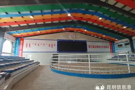 厉害了！云南的这头种牛获全国金奖图片