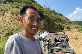 鸡鸣闻三县，这儿的蜜桃富了乡亲图片
