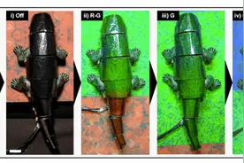 冲上热搜！韩国高校研发变色龙机器人，登Nature子刊图片