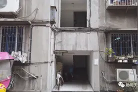 “毒蛇”溜进乐山一居民家，宠物狗狂叫不止救主人图片