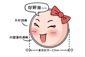 有卵泡就能顺利有孕？你要这么认为就错了图片