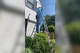 国外情侣在院子晾衣服阻挡邻居5个摄像头监视 反遭邻居报警投诉图片