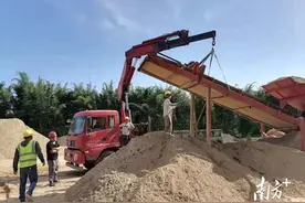 深汕合作区：重拳打击违法占耕占林行为图片