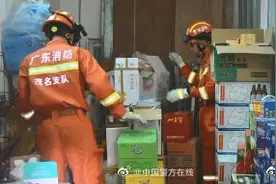 眼睛蛇出没！商铺发现16条眼镜蛇幼蛇 消防两小时捕捉完毕图片