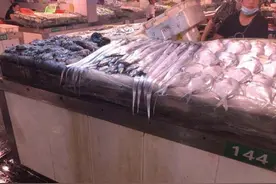 浙江台州市面海鲜 价格“掉”一半图片