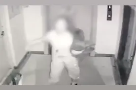 沈阳一对老夫妇遛狗不拴狗绳，男子提醒后反遭追打：不想和解，走法律途径解决图片