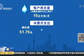 上海水价调价方案公布  市民每户每月水费将平均多支出9.6元视频封面