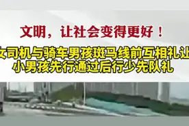 女司机与骑车男孩斑马线前互相礼让 小男孩先行通过后行少先队礼图片