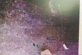 南安：砖头砸破窗户 玻璃掉落伤人 女子泄私愤高空抛物被刑拘图片