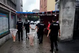 流浪狗疑似发疯见人就追咬，居民吓得不敢出门！桃源巡逻队员迅速处置图片