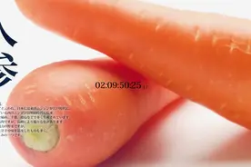 舰娘厂C2机关公布全新游戏策划 高度疑似蔬菜娘图片