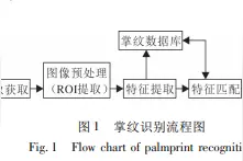 释新闻｜刷掌支付是什么技术？有研究人员称掌纹识别安全稳定图片