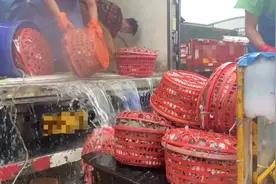 挑选梭子蟹的五大秘笈！消保委亲测有效图片