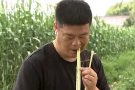 上海崇明 | 江芦芦穄上市：口感松软甜度适中，惹人喜爱视频封面