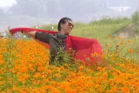 在济南，这场人与橙黄花海的比美可别错过图片