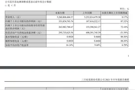 聚焦半年报｜三只松鼠净利3.5亿，子品牌小鹿蓝蓝亏损近5000万图片