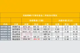 高毅资产二季度持仓出炉，冯柳加码博迁新材，邓晓峰资源股布局分化，孙庆瑞持仓通策医疗不变图片