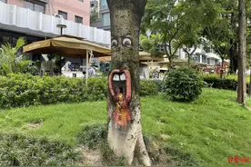 美呆了！成都望平滨河路的“树画”太吸睛了，快去打卡图片